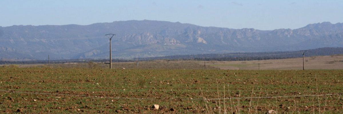 La albuera reservoir