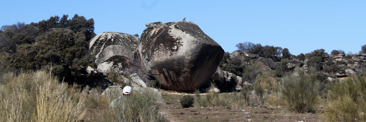 Berrocal de Peraleda de San Román