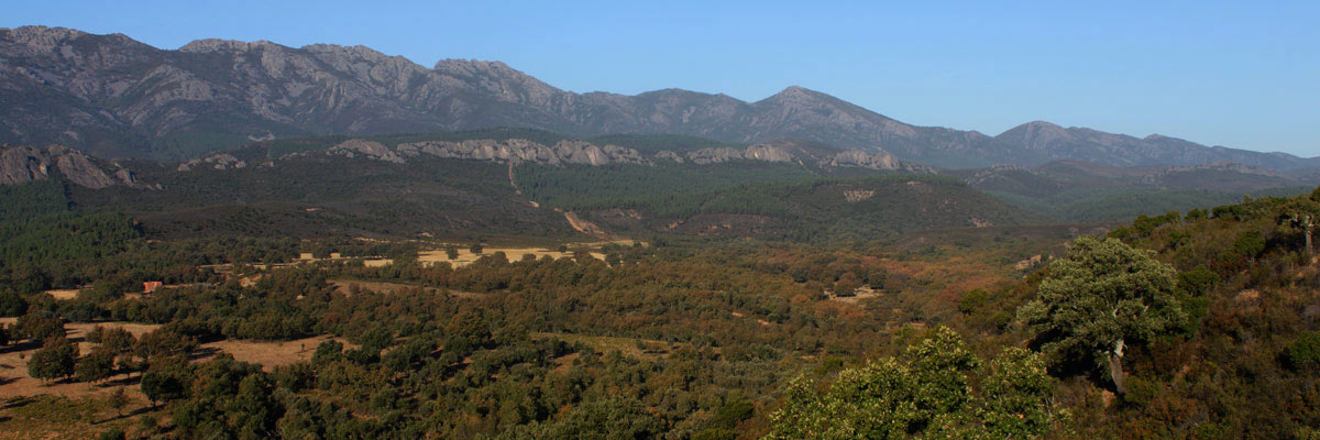 guadarranques