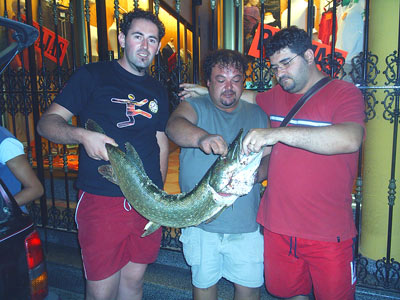 imagen seccion cultura