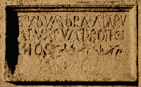 SUB UMBRA ALALUM TUA CUM PROTEGENOS